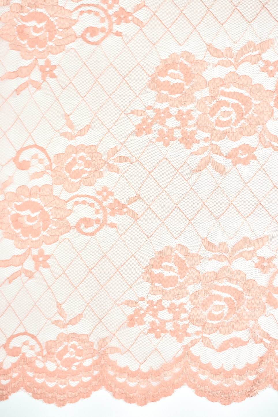 PLAIN JAPANESES LACE